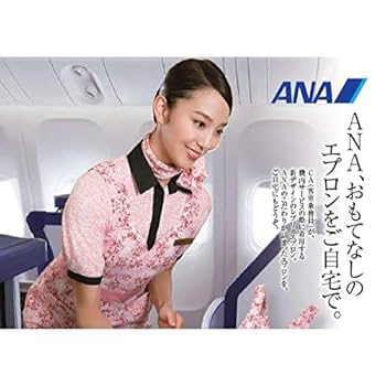 ANA キャビンアテンタント エプロン(機内販売品 レア物) Amazon.co.jp: ANA機内販売 限定 ANA CA レプリカエプロン 花